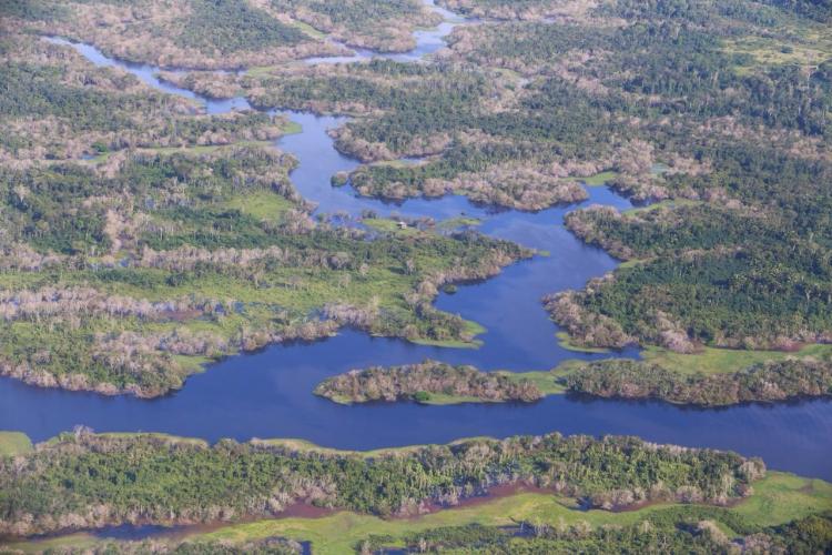 Redução do desmatamento na Amazônia: uma boa notícia na COP30