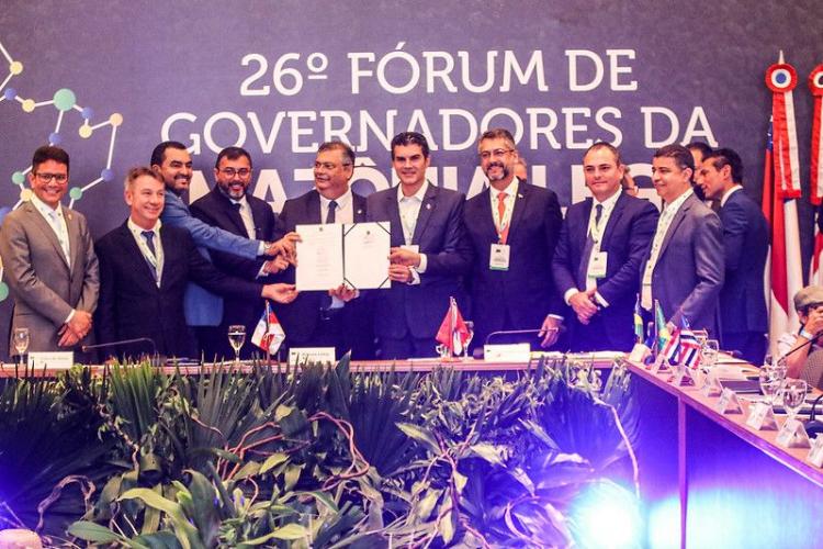 Combate ao desmatamento já mostra resultados, na Amazônia