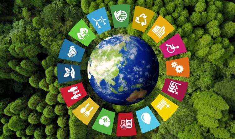 Sustentabilidade, a sexta onda que já se forma no horizonte