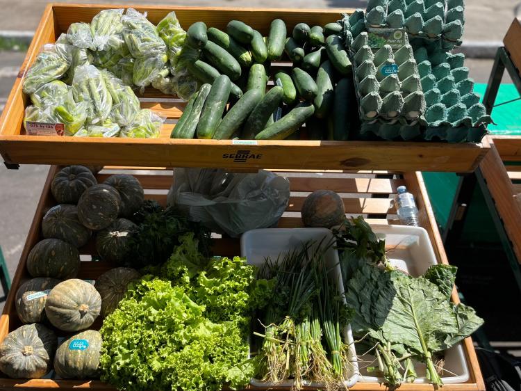 3ª Feira Tucuju da Agricultura Familiar fortalece produção rural e celebra cultura amapaense
