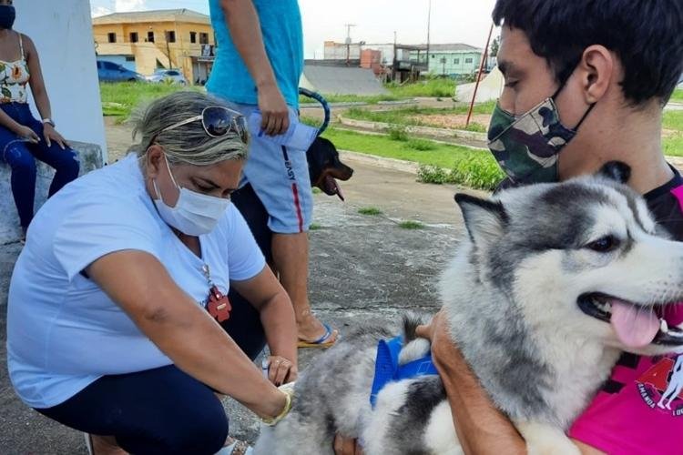 Sábado, 24, tem vacinação antirrábica na Praça Cívica de Santana
