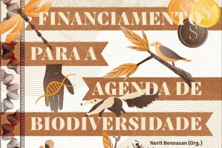 Guia reúne caminhos práticos para acessar financiamento para conservação da biodiversidade