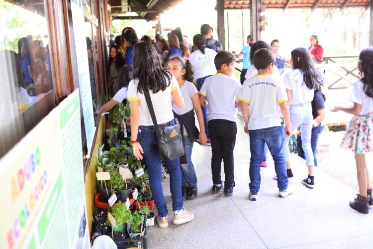 Estudantes expõem produções de hortas escolares e trocam experiências em mostra ambiental