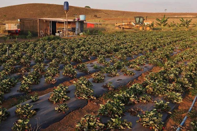 MPF obtém decisão para suspender nome de assentamento que homenageia ex-prefeito de Tartarugalzinho (AP)