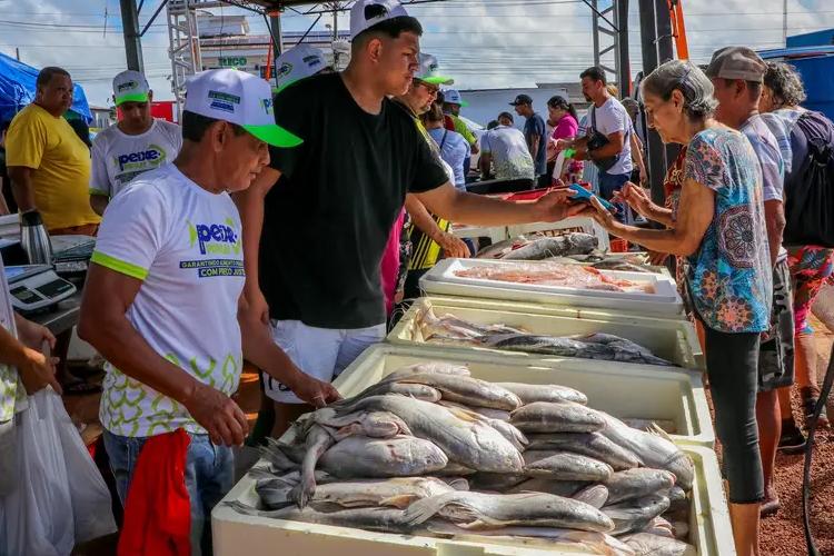 Peixe Popular da Semana Santa vende 160 toneladas e movimenta R$ 2,7 milhões no setor pesqueiro