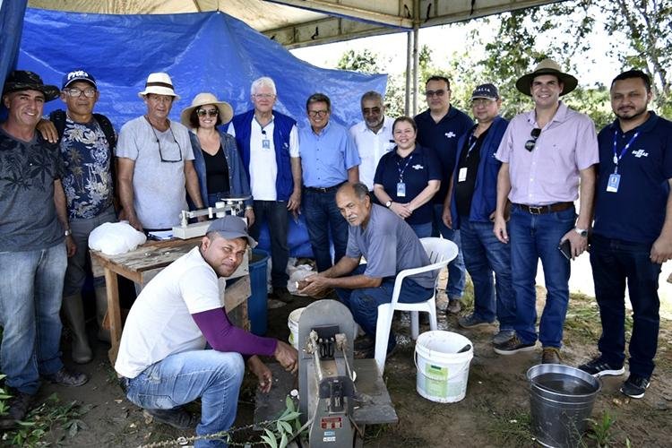 Sebrae e Embrapa promovem análise de cultivares de mandioca no Amapá