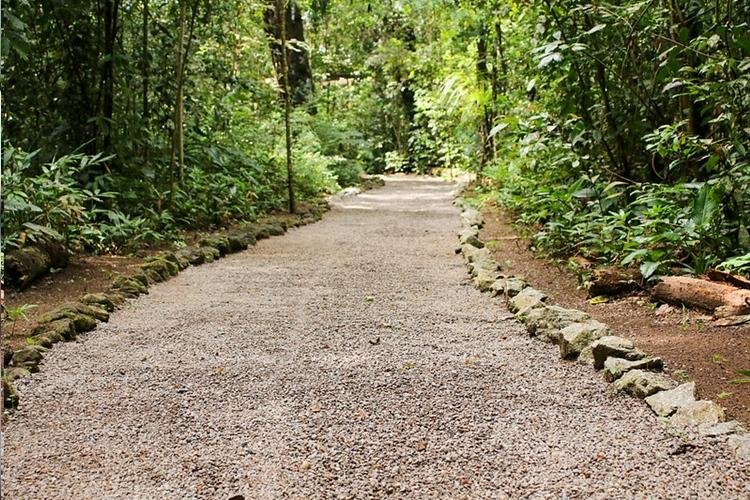 BIOPARQUE DA AMAZÔNIA ABRE CAIXA DE SUGESTÃO PARA VISITANTES