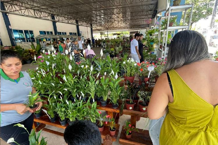 Feira de Produtos do Campo terá edição especial com espaço de alimentos orgânicos