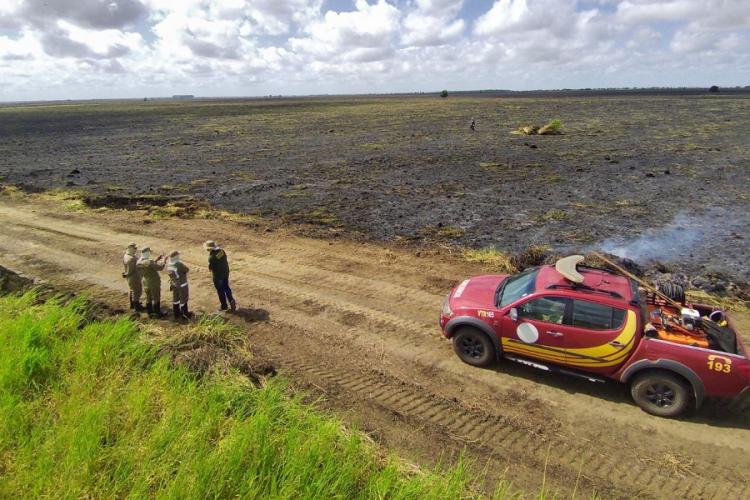 Amapá Verde: Bombeiros amapaenses enfrentam mais de 700 incêndios em 100 dias