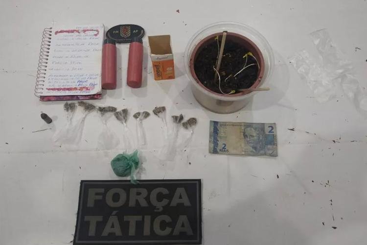 Dupla é presa vendendo sementes e mudas de maconha para plantio em apartamento, em Macapá