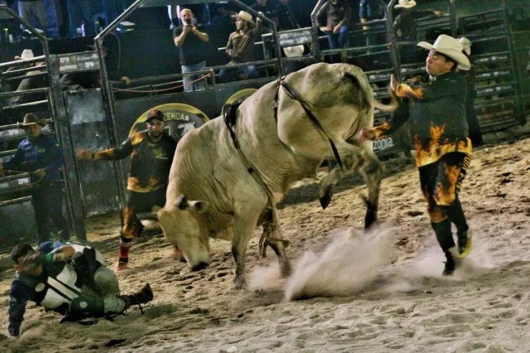 Com apoio do Governo do Amapá, ExpoAgro Tartarugal reúne shows nacionais, rodeio, negócios e movimenta o turismo