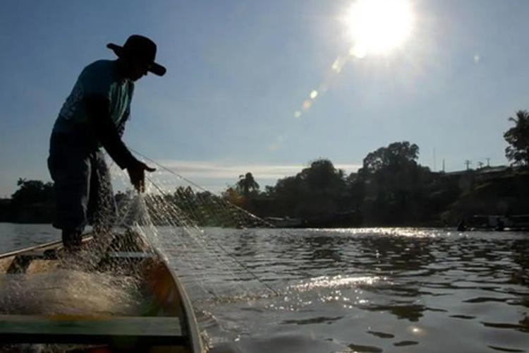 117 mil pescadores das regiões Norte e Centro-Oeste solicitam o seguro-defeso