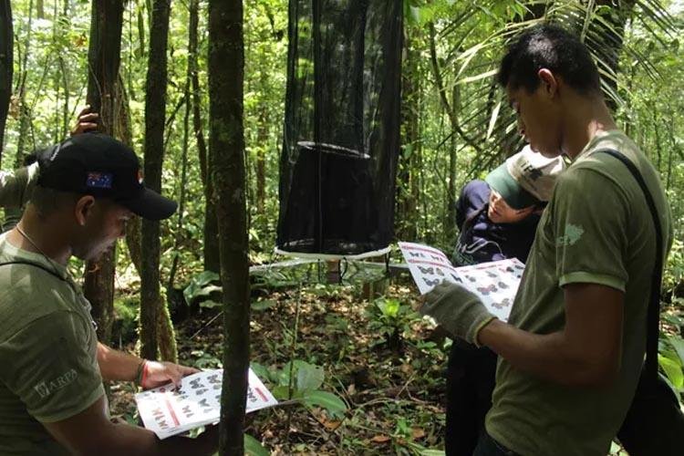 Concurso público do ICMBio oferta 12 vagas para o Amapá; salários chegam a R$ 8 mil