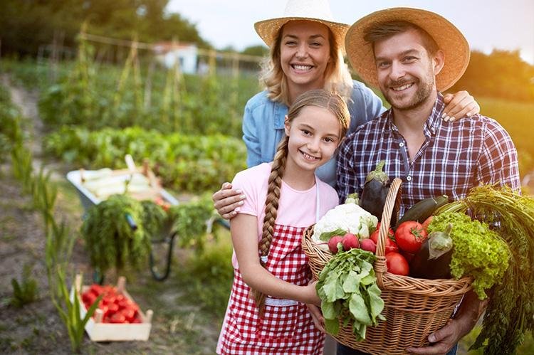 Alimentação saudável na infância evita problemas futuros