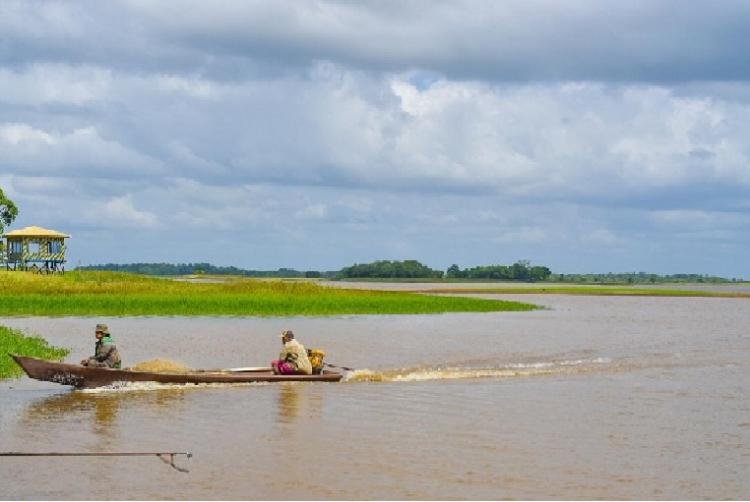 Defeso de espécies de pescado começa no próximo dia 15, em todo o estado