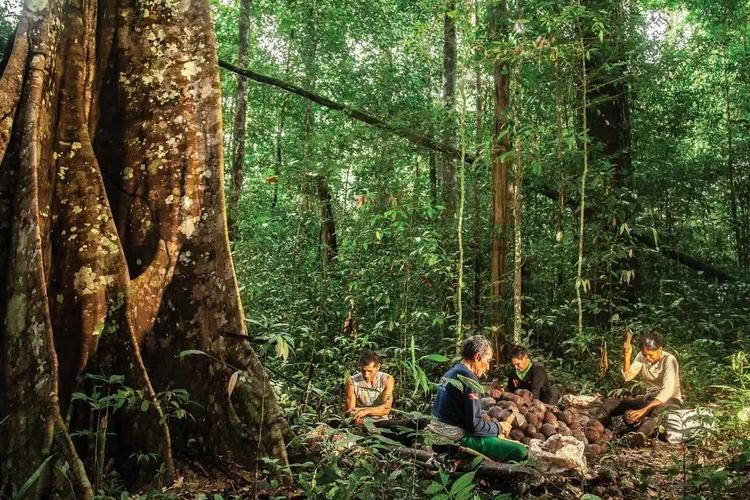 Governo do Amapá busca certificação da Reserva de Desenvolvimento Sustentável do Rio Iratapuru em programa de conservação internacional