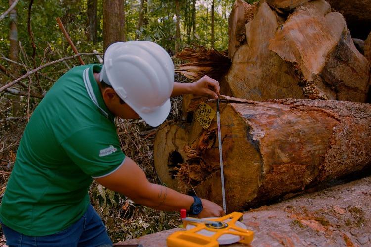 Pedra Branca conquista prêmio inédito na etapa nacional do Sebrae Prefeitura Empreendedora