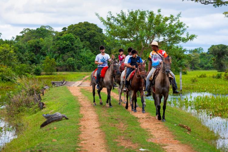 Pantanal entra na rota das férias de julho com experiência de safári no Brasil