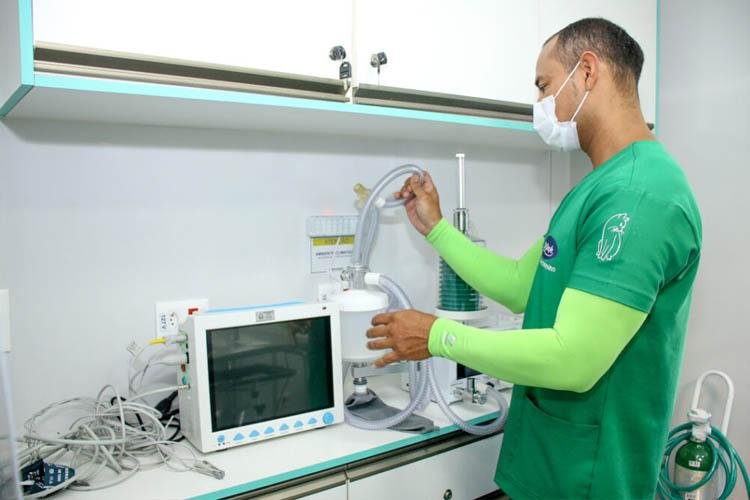 Castramóvel: cirurgias em animais iniciam nesta segunda-feira (22); saiba como ter acesso aos benefícios