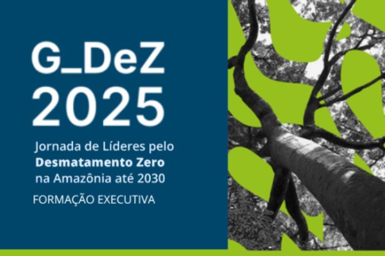 Em sua terceira edição, G_DeZ 2026 lança edital para formar líderes pelo Desmatamento Zero na Amazônia   