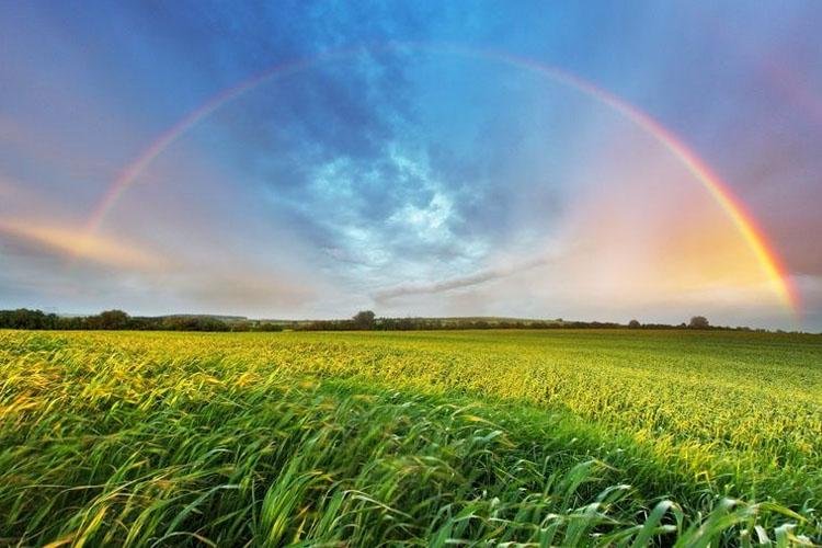 Clima impacta o agronegócio