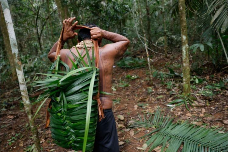Fundo Amazônia vai fortalecer negócios da floresta em três municípios do Amapá 