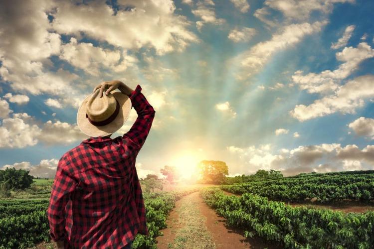 Projeto seleciona cooperativas de agricultores familiares para assessoramento técnico