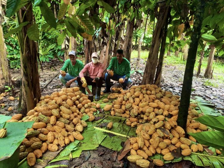 Plataforma tecnológica conecta comunidades ribeirinhas para vender sua produção em todos país   