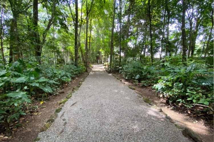 Bioparque da Amazônia reabre para visitação no Dia do Trabalhador