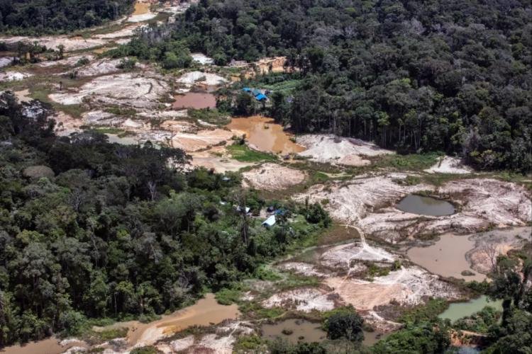 Quase 40% dos indígenas em territórios da Amazônia vivem sem acesso adequado à água