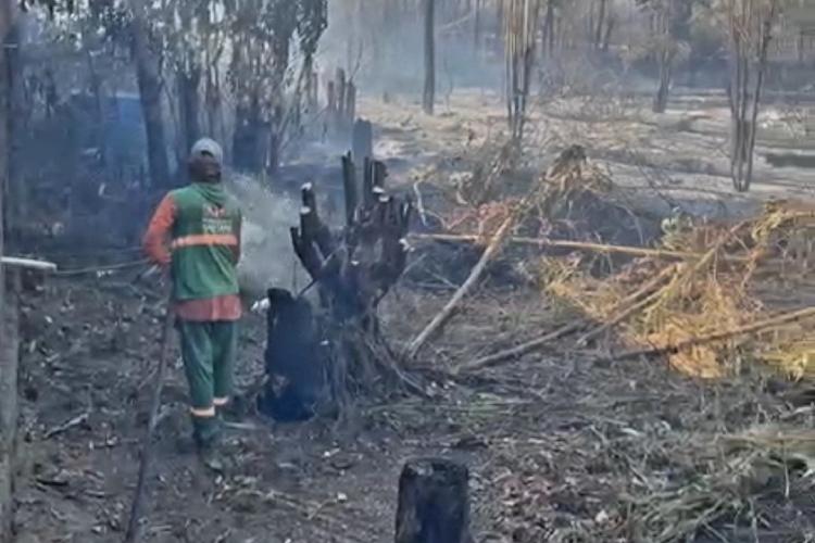 Defesa Civil de Santana atua rapidamente para controlar incêndios em Anauerapucu e Jardim Floresta