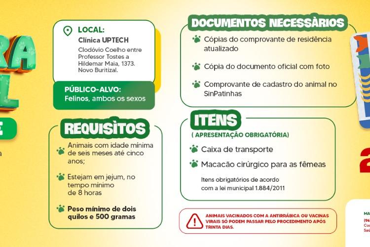 Castramóvel realiza castração gratuita para gatos machos e fêmeas em Macapá