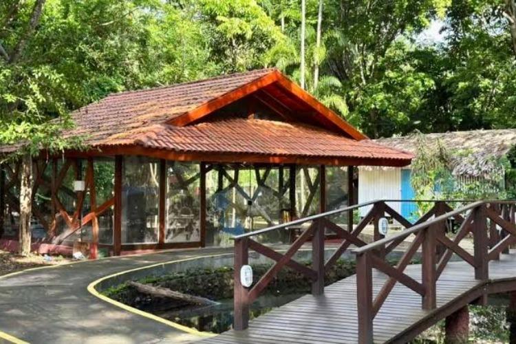 Museu Sacaca e Tribunal de Justiça do Amapá lançam a 5ª edição do projeto Férias no Museu