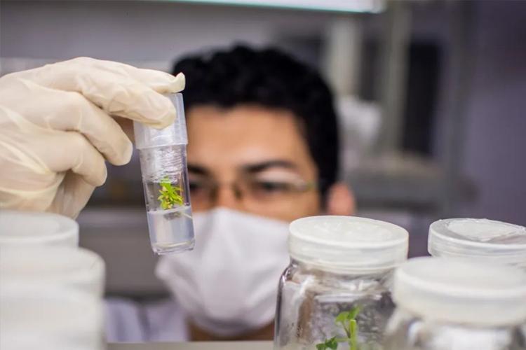 Prêmio Robério Nobre: Lista preliminar dos vencedores é divulgada 