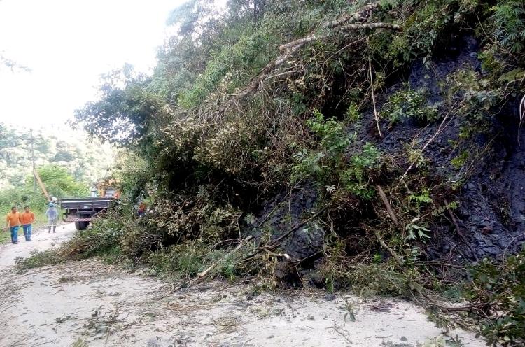 Brasileiro encontra um ponto crítico nas estradas a cada 44km