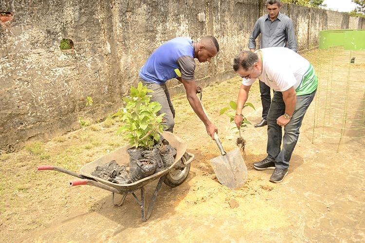 Cerca de 150 mudas de árvores são plantadas na área do entorno do aeroporto de Macapá