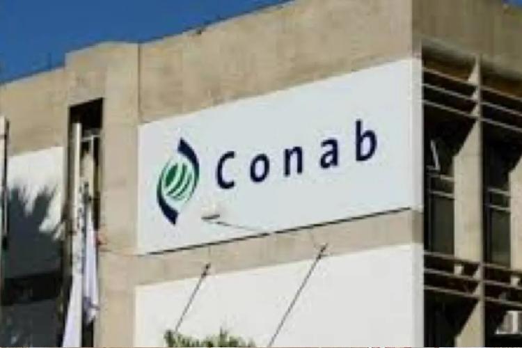 Conab publica o Comunicado de compra institucional para aquisição de kits de alimentos para a COP30 em Belém
