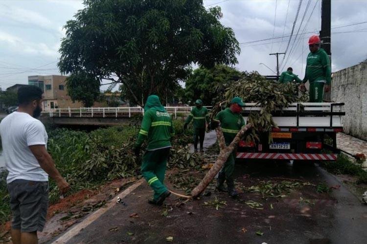 Após chuva, mais de 15 toneladas de lixo e entulhos acumulados em canais e bacia de Macapá são removidos