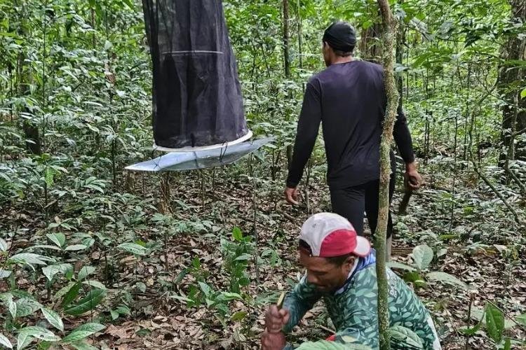 Governo do Amapá realiza segunda expedição de monitoramento da biodiversidade na Reserva do Rio Iratapuru