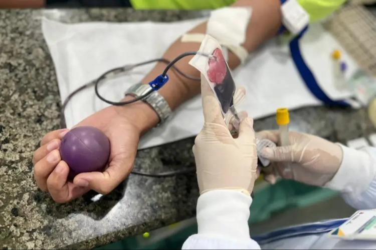 Dia Nacional do Doador de Sangue: um voluntário pode salvar até 4 vidas, reforça Hemoap