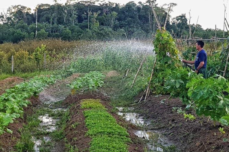 Governo do Amapá intensifica regularização fundiária com ações em Ferreira Gomes e Laranjal do Jari