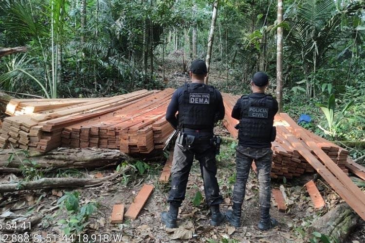 Civil apreende madeira avaliada em R$ 8 mil durante operação
