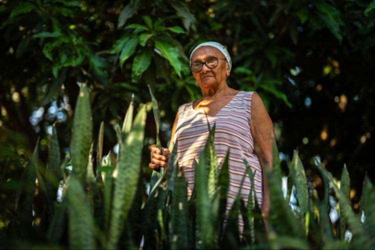 Entre a floresta e o garimpo: quilombolas de Mato Grosso resistem sem terras tituladas 
