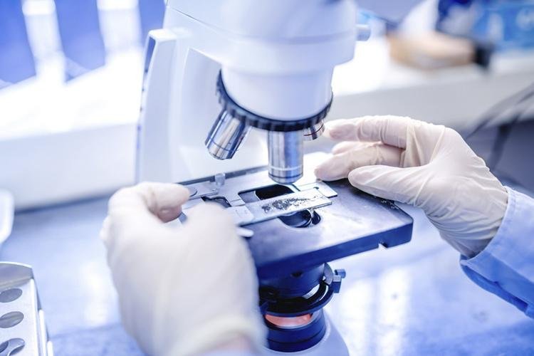 Pandemia, epidemia e endemia: entenda a diferença