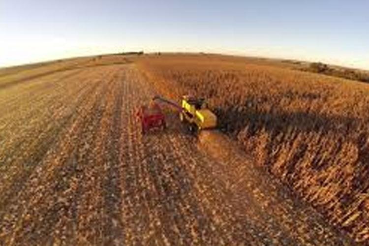 Aplicativo Zarc Plantio Certo é apresentado na abertura da TecnoAgro 2019
