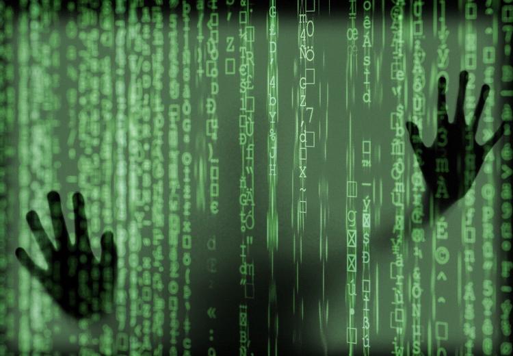 Proteção de Dados: Desafios e impactos da conformidade com a LGPD no Brasil