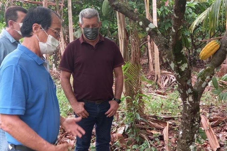 Comitiva amapaense visita propriedades e cooperativa cacaueiras no Pará