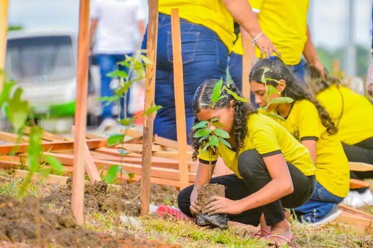 Junho Verde: crianças e adultos plantam jatobá e ipê durante ação ambiental do Governo do Amapá na Zona Norte de Macapá