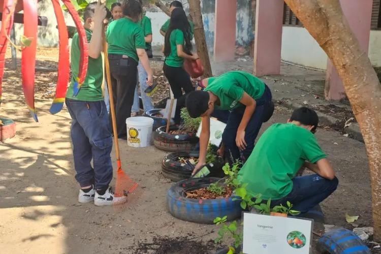 Estudantes cultivam aprendizado e inclusão em horta e jardim sensorial na Escola Maria de Nazaré Pereira Vasconcelos, em Macapá