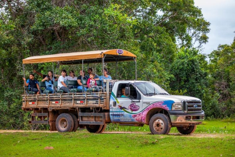 Pantanal entra na rota das férias de julho com experiência de safári no Brasil